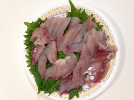 ツバス釣り